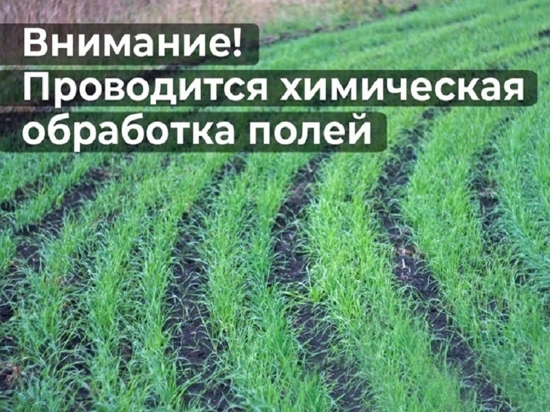 Объявление о проведении обработок полей.